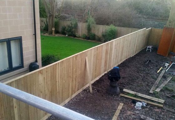 Feather Edge Fencing